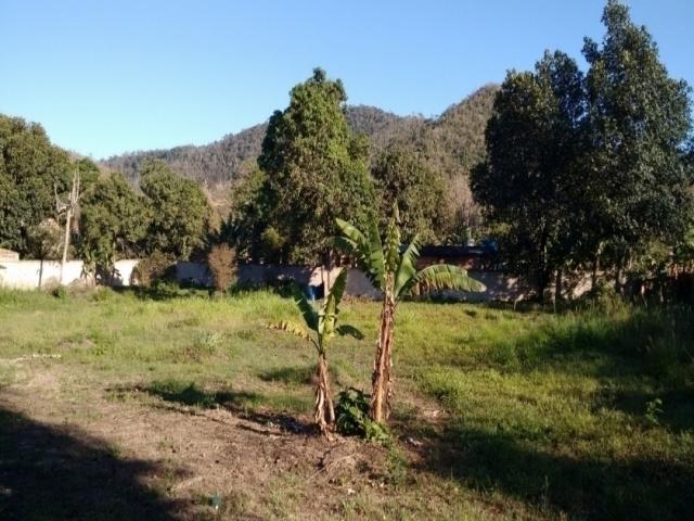 #3 - Área para Venda em Tanguá - RJ - 1