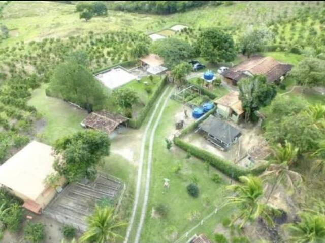 #33 - Casa para Venda em Tanguá - RJ - 3